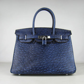 Hermes Birkin 30Cm Ostrich Stripe Handbags Dark Blue Silver